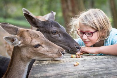 Fütterung der Tiere