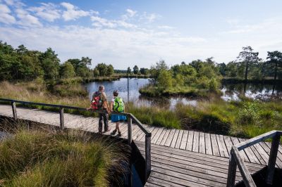 Fachwerkhaus in der Südheide