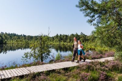 Pietzmoor Schneverdingen