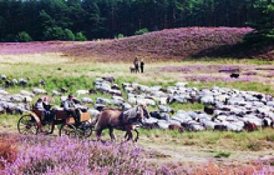 Die Minigolfanlage in Rethem im Aller-Leine-Tal