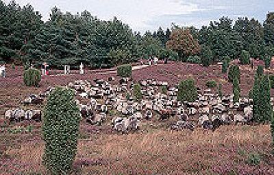 Die Minigolfanlage in Rethem im Aller-Leine-Tal