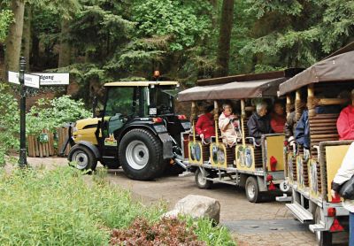 Mit der Bahn durch den Wildpark