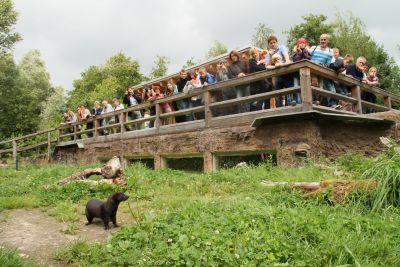 Mit der Bahn durch den Wildpark