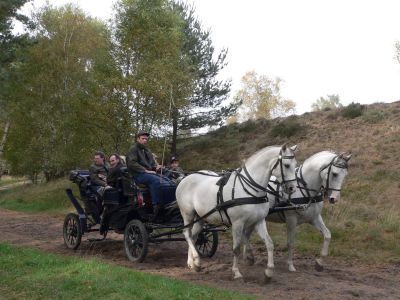 Kutschfahrt vom Ferienhof Heins