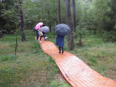 Der Aller-Radweg im Aller-Leine-Tal