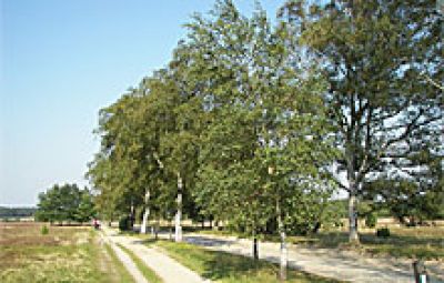 Kleiner Spielplatz im Außenbereich