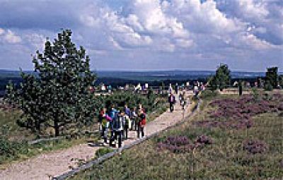 Aller-Radweg im Aller-Leine-Tal