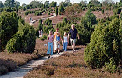 Aller-Radweg im Aller-Leine-Tal