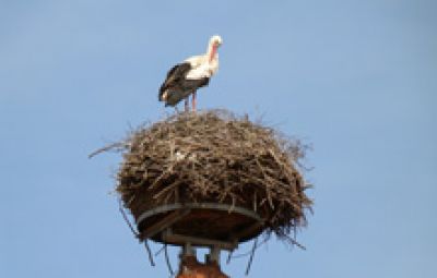 Die Minigolfanlage in Rethem im Aller-Leine-Tal