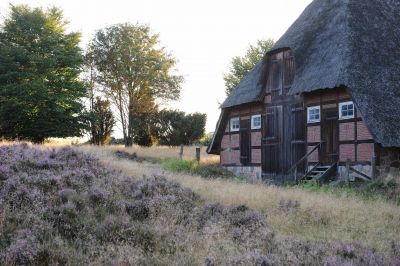 Lüneburger Heide