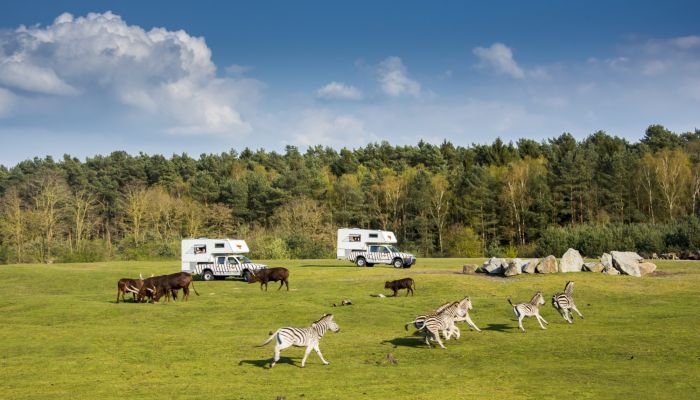 Serengeti Park Freifläche