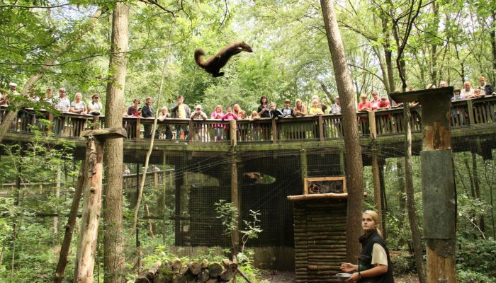 Otterzentrum Hankensbüttel Sprung