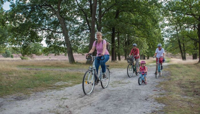 Die 66 Besten Ausflugsziele mit Kindern Lüneburger Heide