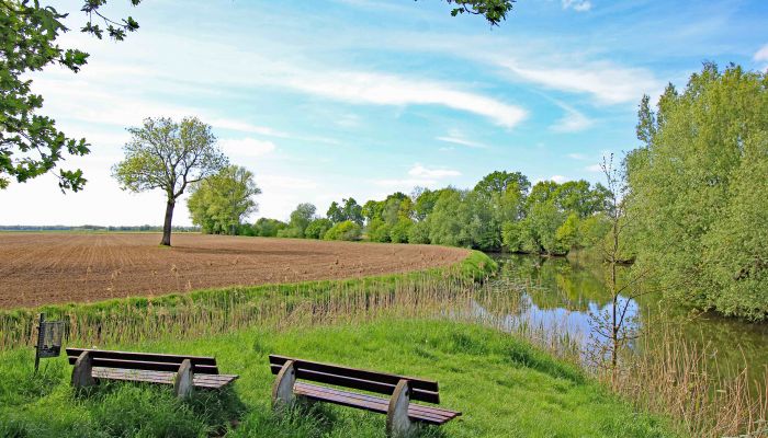 Neetze bei Thomasburg, Elbufer-Drawehn